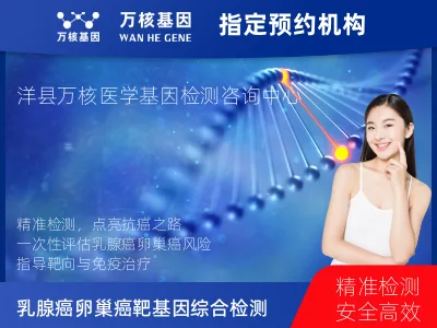 乳腺癌/卵巢癌靶70基因+MSI+PD-L1检测