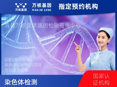 染色体非整倍体异常检测 PLUS项目 (已含保险）