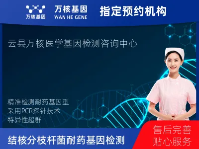 结核分枝杆菌耐药基因检测-单项
