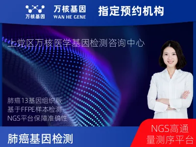 肺癌13基因突变检测（组织）