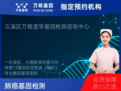 肺癌13基因突变检测（组织）