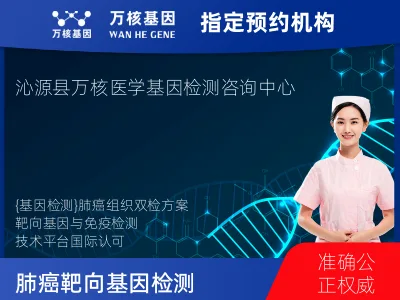 肺癌靶向120基因检测及PDL122C3表达检测套餐（组织）