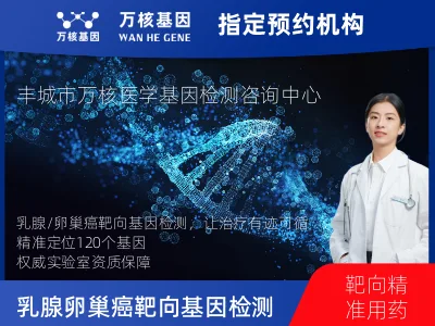 乳腺/卵巢癌靶向120基因检测（组织）