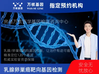 乳腺/卵巢癌靶向120基因检测（组织）