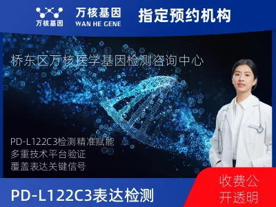 PD-L122C3表达检测