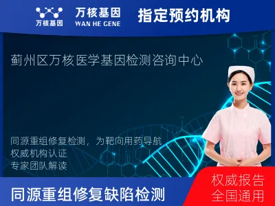 同源重组修复缺陷（HRR基因+HRDscore）检测（组织）