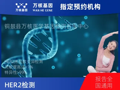 HER2拷贝数变异检测