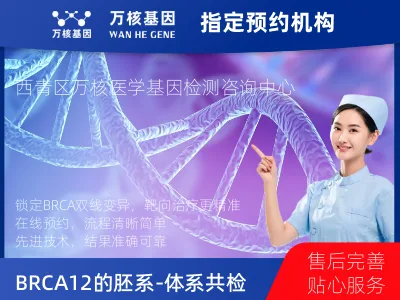 BRCA1/2的胚系-体系共检测