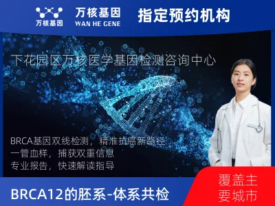 BRCA1/2的胚系-体系共检测