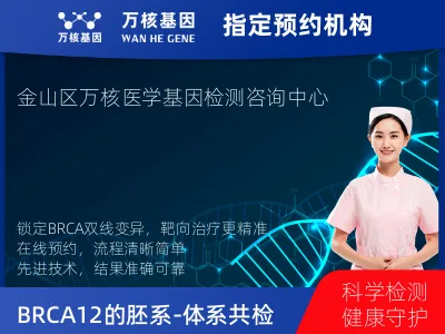 BRCA1/2的胚系-体系共检测