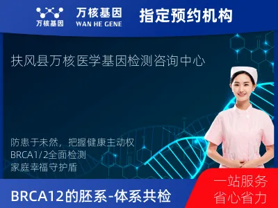 BRCA1/2的胚系-体系共检测