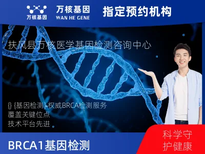 BRCA1/2基因突变检测