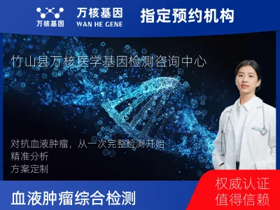血液肿瘤综合检测 (完整版)