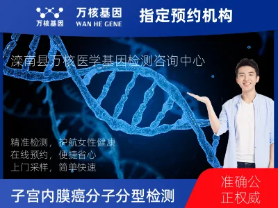 子宫内膜癌分子分型检测