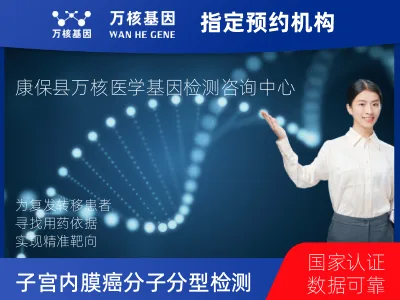 子宫内膜癌分子分型检测