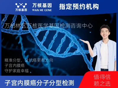 子宫内膜癌分子分型检测