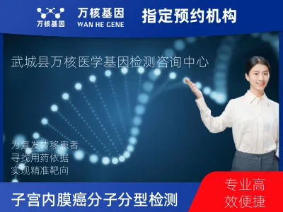 子宫内膜癌分子分型检测