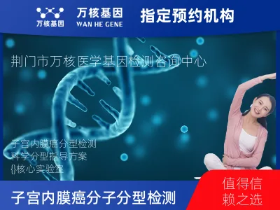 子宫内膜癌分子分型检测