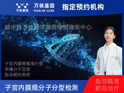 子宫内膜癌分子分型检测
