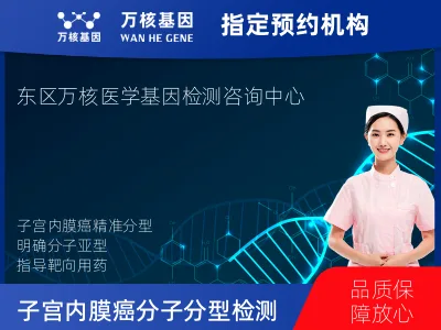 子宫内膜癌分子分型检测