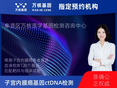 子宫内膜癌120基因ctDNA突变检测（血液）