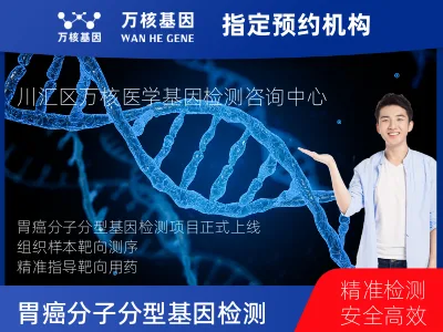 胃癌分子分型基因检测项目（组织）