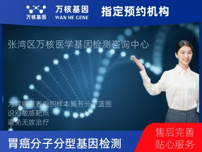 胃癌分子分型基因检测项目（组织）