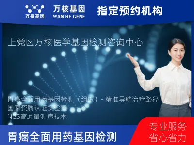 胃癌全面用药基因检测（组织）