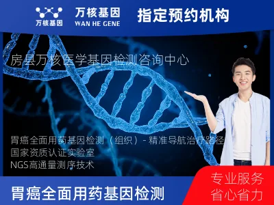 胃癌全面用药基因检测（组织）