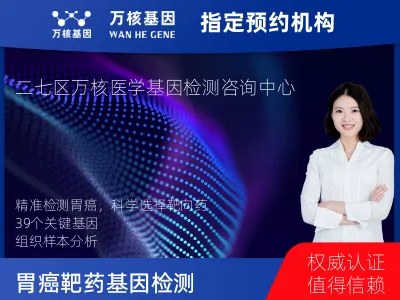 胃癌靶向用药39基因检测（组织）