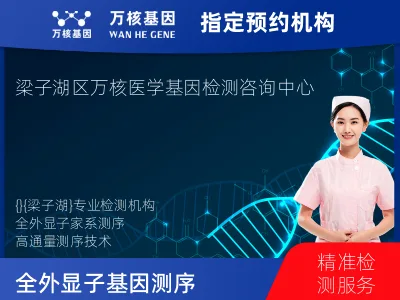 全外显子基因测序（家系）