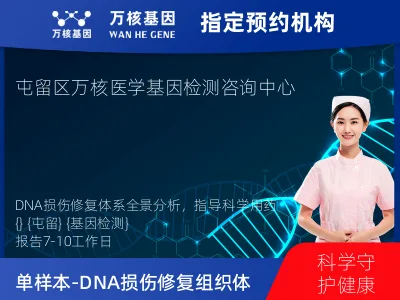 单样本-DNA损伤修复组织体系45基因分子分型研究