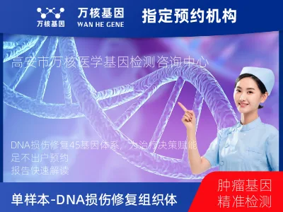 单样本-DNA损伤修复组织体系45基因分子分型研究