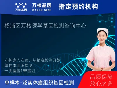 单样本-泛实体瘤组织188基因检测