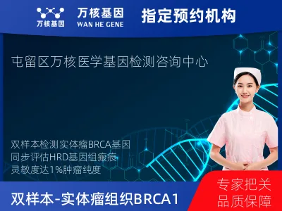 双样本-实体瘤组织BRCA1/2+HRD基因检测