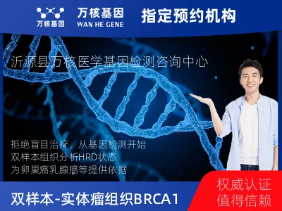 双样本-实体瘤组织BRCA1/2+HRD基因检测