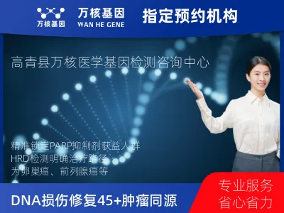 DNA损伤修复45+肿瘤同源重组缺陷（HRD）基因检测