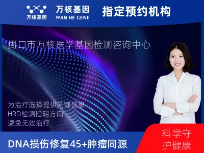 DNA损伤修复45+肿瘤同源重组缺陷（HRD）基因检测