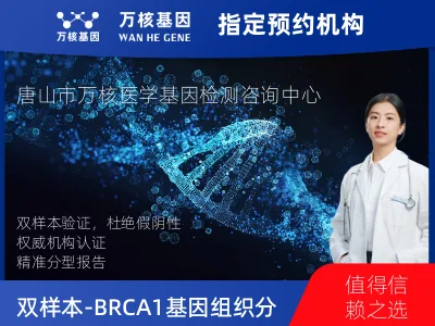 双样本-BRCA1/2基因组织分子分型研究