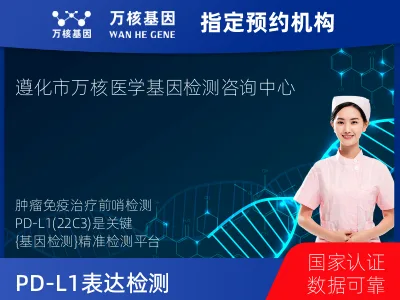 PD-L1表达检测（22C3）