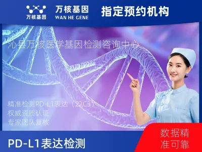PD-L1表达检测（22C3）