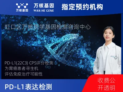 PD-L1表达检测（22C3）
