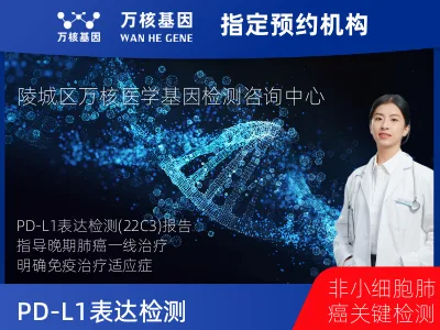 PD-L1表达检测（22C3）