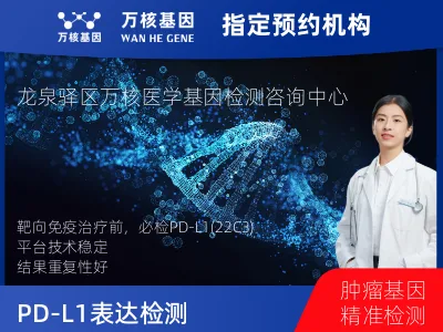 PD-L1表达检测（22C3）