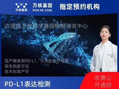 PD-L1表达检测（国产）