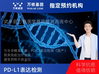PD-L1表达检测（国产）