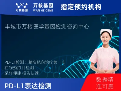 PD-L1表达检测（国产）