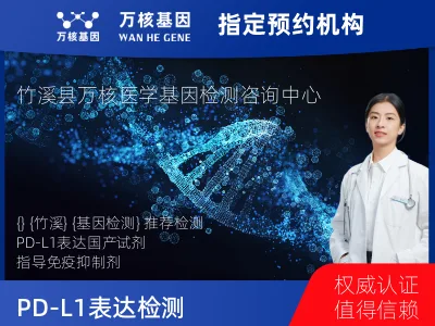 PD-L1表达检测（国产）