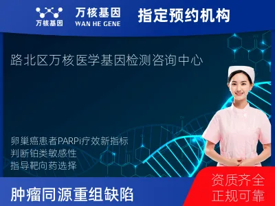 肿瘤同源重组缺陷（HRD）