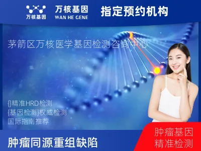 肿瘤同源重组缺陷（HRD）